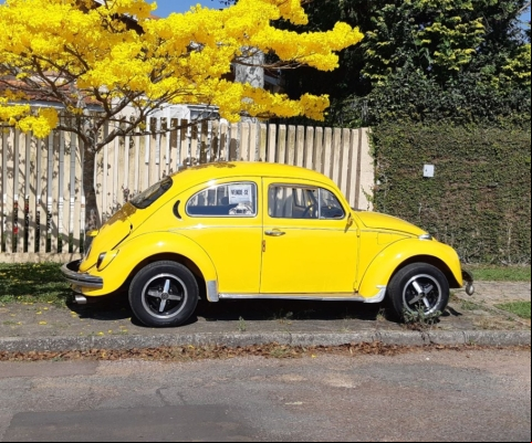 VOLKSWAGEN FUSCA à venda.