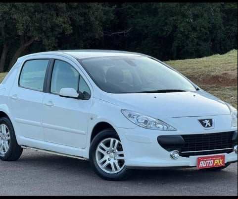 PEUGEOT 307 16 FX PR 2012