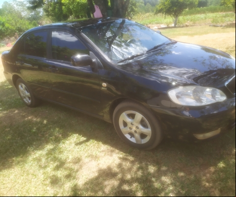 TOYOTA COROLLA à venda.