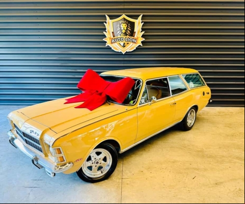 CHEVROLET CARAVAN 1978