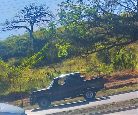 CHEVROLET D-10 à venda.