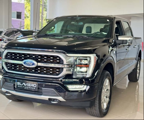 FORD F-150 Platinum 4x4 5.0 V8