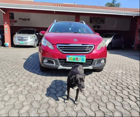 PEUGEOT 2008 GRIFFE 2015