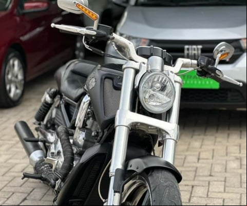V-ROD 1250cc MUSCLE VRSCF