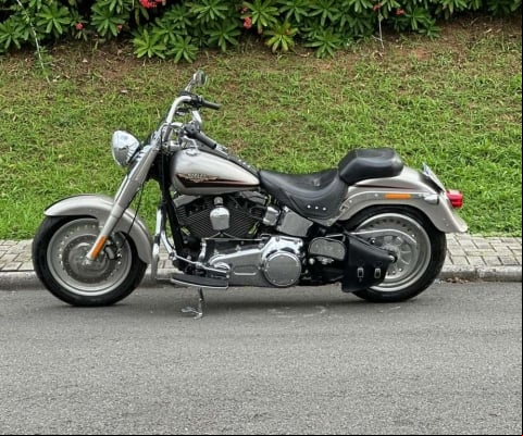 HARLEY-DAVIDSON FAT BOY FLSTF 2009