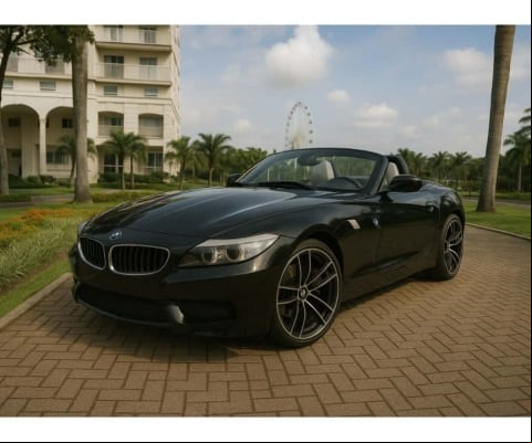 Bmw Z4 2010 3.0 roadster 35i i6 24v gasolina 2p automático